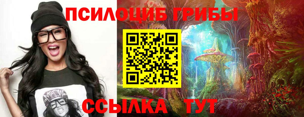Галлюциногенные грибы Psilocybine cubensis Комсомольск-на-Амуре