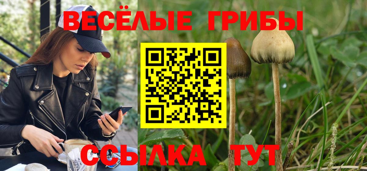 Комсомольск-на-Амуре  Псилоцибиновые грибы Cubensis  Галлюциногенные грибы Cubensis  Вход с VPN 